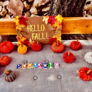 “Hello Fall” Handmade Pumpkin Door Sign – Rustic Autumn Decor