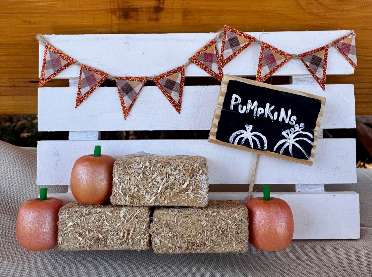 “Pumpkins” Mini Fall Display – Handmade Rustic Farmhouse Decor - Image 4