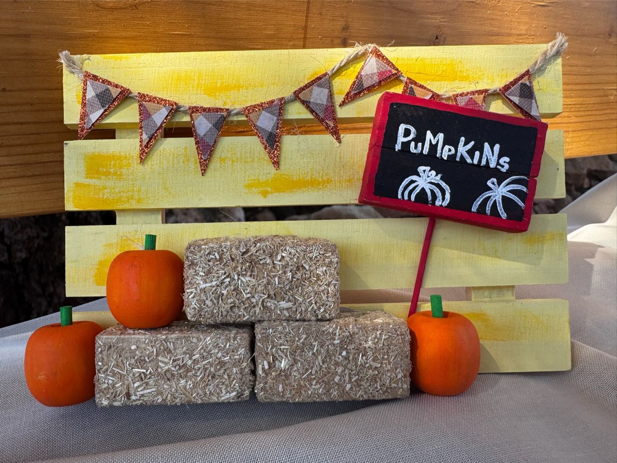 “Pumpkins” Mini Fall Display – Handmade Rustic Farmhouse Decor - Image 3
