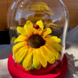 Sunflower & Ladybug Dome – Handmade Floral Display with Glass Cover